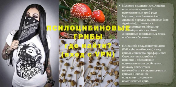 дживик Остров