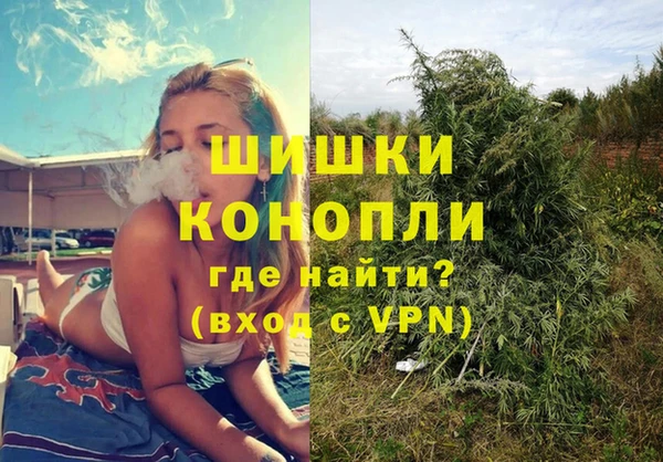 ALPHA PVP Осинники