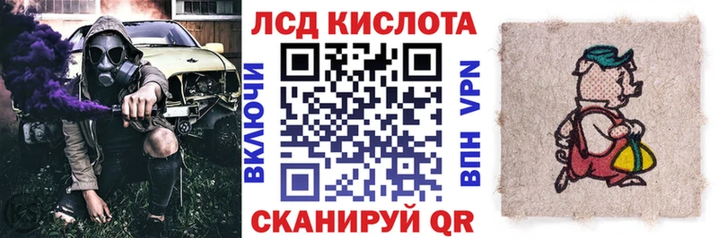 дарнет шоп  Тимашёвск  Марки 25I-NBOMe 1,8мг 