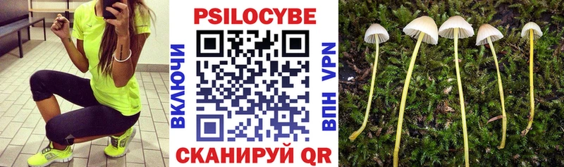 Галлюциногенные грибы мухоморы  Тимашёвск 